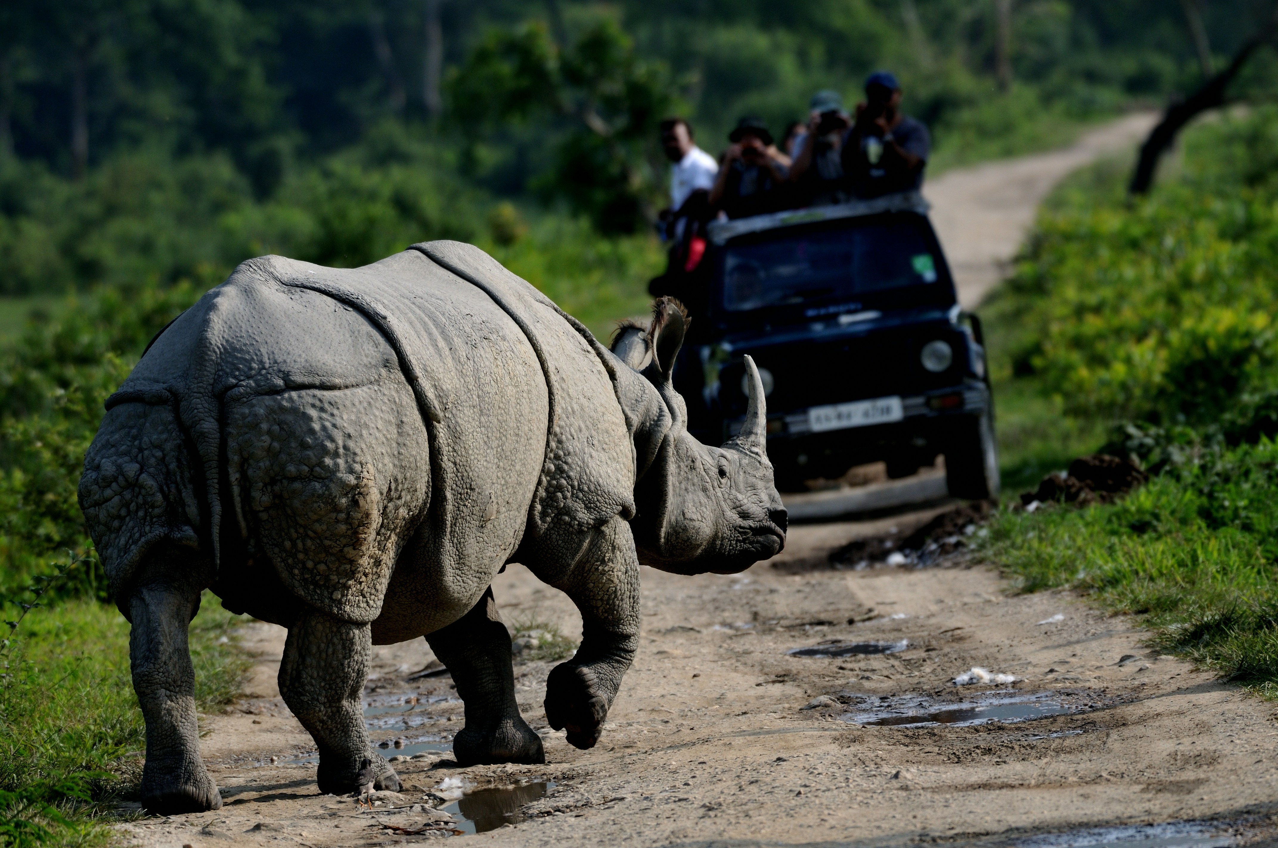 Assam – The Land of Endless Wonder